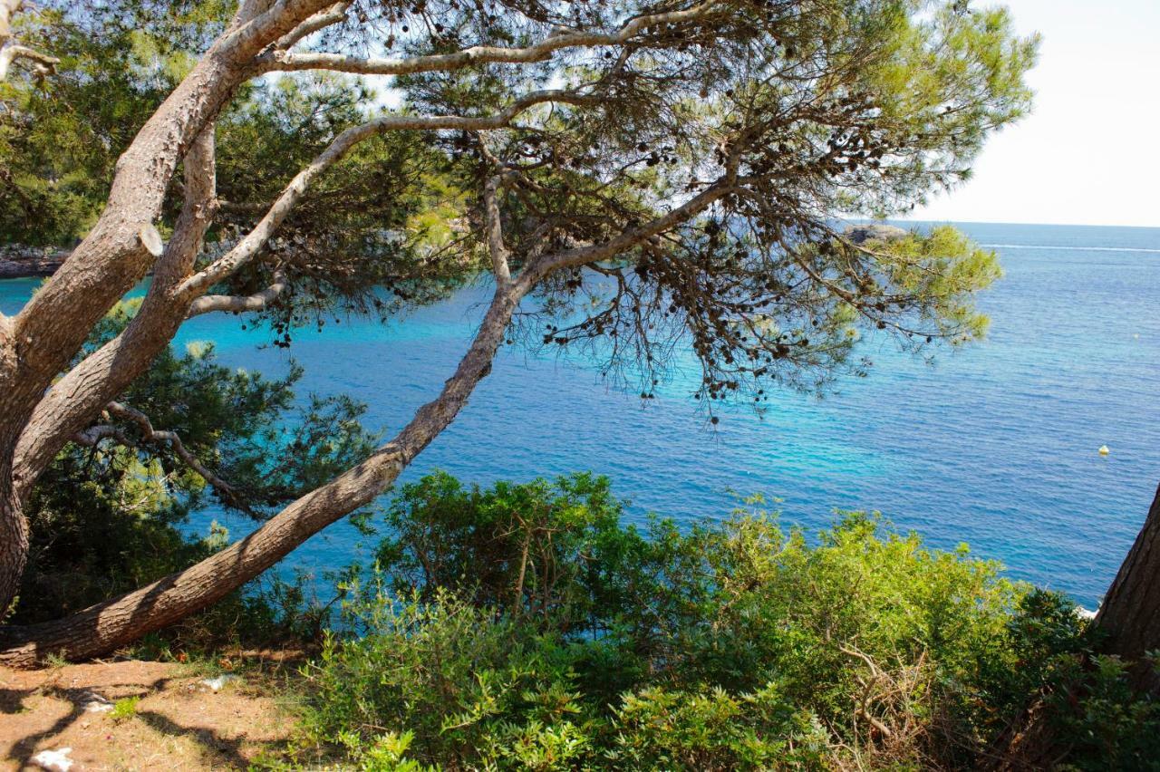 Apartment Ferrera Park 602 Cala Ferrera (Mallorca)